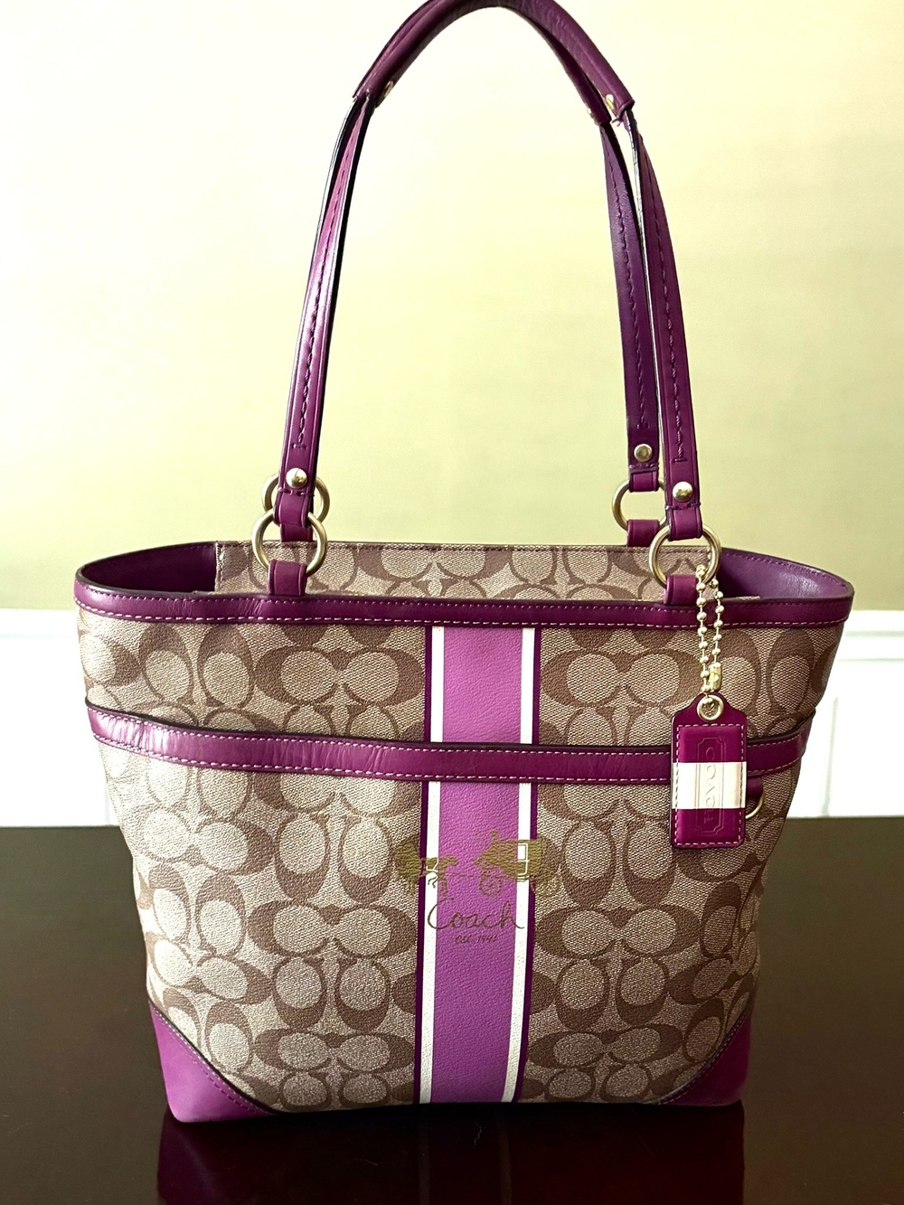 Coach Signature Heritage Stripe Tote